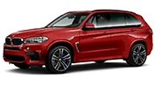 X5M [F85]